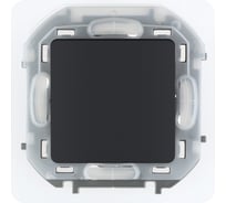 Переключатель Legrand одноклавишный IP44 Inspiria 10А 250В безвинтовые зажимы антрацит 673673