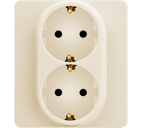 Розетка Legrand двойная с заземлением Legrand Inspiria без шторок в сборе 16А 250В винтовые зажимы слоновая кость 673751