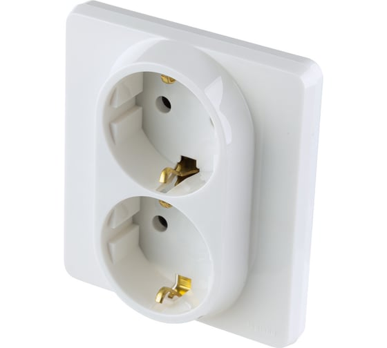Розетка Legrand двойная с заземлением Legrand Inspiria без шторок в сборе 16А 250В винтовые зажимы белый 673750