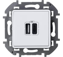Зарядное устройство с двумя USB-разьемами Legrand A-C 240В/5В 3000мА - INSPIRIA - белый 673760