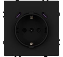 Механизм розетки с USB зарядкой Arlight SCT-NOBE-MUCC-SFPL-BK 1шт 061813
