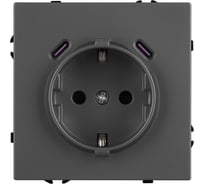 Механизм розетки с USB зарядкой Arlight SCT-NOBE-MUCC-SFPL-GR 1шт 061816