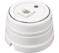 Розетка компьютерная Мезонинъ RJ45, цвет - платина на белом GE70341-49