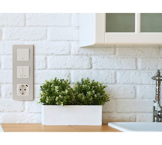 Розетка Legrand с заземлением с USB тип C Legrand Inspiria со шторками 16А 250В 1500мА 5В безвинтовые зажимы слоновая кость 673771