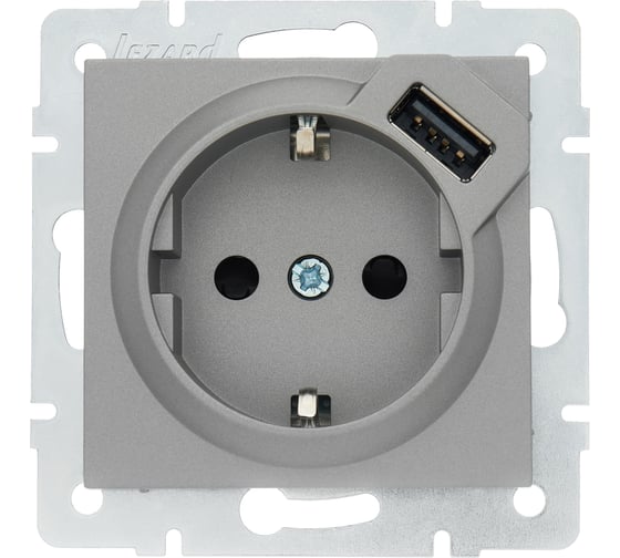 Розетка Lezard VESNA с/з + USB разъём платина 742-3588-181