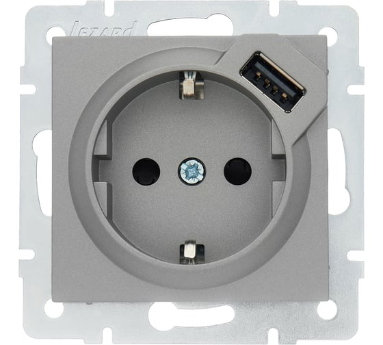 Розетка Lezard VESNA с/з + USB разъём платина 742-3588-181