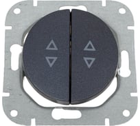 Механизм выключателя Bylectrica 2-клавишный, проходной, скрытая установка, серия ПРОВАНС, графит С(6+6) 10-3363 графит