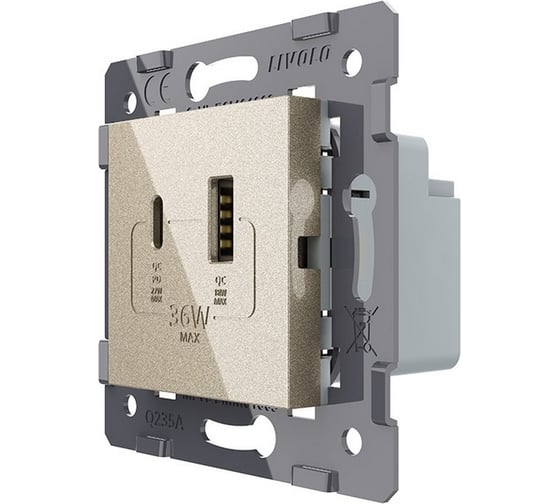 Розетка USB LIVOLO type C+A с блоком питания 36W, цвет шампань (механизм) VL-FCUA18W.UC18W-2NP