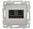 Розетка компьютерная двойная IEK BRITE RJ45 кат.6 РК11-2-БрГН металл хром/никель BR-K20-2-M-K23 2