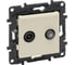 Розетка двойная Legrand STRUCTURA TV+SAT, тип звезда, двухкабельная, слоновая кость 764281 1