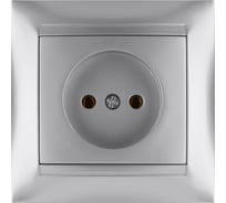 Розетка TDM ELECTRIC 2П 10А 250В серебристый металлик Лама SQ1815-0222