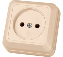 Розетка TDM ELECTRIC 2П открытой установки IP20 10А 250В керамика слоновая кость Ладога SQ1801-0210