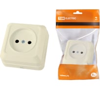 Розетка TDM ELECTRIC 2П открытой установки IP20 10А 250В керамика слоновая кость Ладога SQ1801-0210