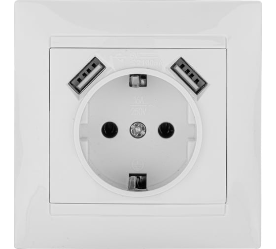 Розетка TDM ELECTRIC 2П+З 16А 250В + 2 USB порта 2,1А 5В белая Лама SQ1815-0042
