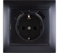 Розетка 16А 250В + 2 USB порта 2,1А 5В с заземлением графит "Лама" TDM ELECTRIC SQ1815-0642