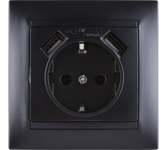 Розетка TDM ELECTRIC 2П+З 16А 250В + 2 USB порта 2,1А 5В графит Лама SQ1815-0642