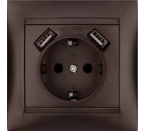 Розетка 2П+З 16А 250В + 2 USB порта 2,1А 5В TDM ELECTRIC шоколад, серия "Лама" SQ1815-0542