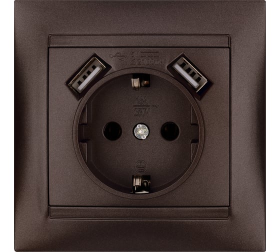 Розетка TDM 2П+З 16А 250В + 2 USB порта 2,1А 5В шоколад Лама SQ1815-0542