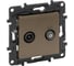 Розетка двойная Legrand STRUCTURA TV+SAT, тип звезда, двухкабельная, шампань 764282 1