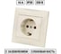 Розетка TDM ELECTRIC 2П+З 16А 250В слоновая кость Лама SQ1815-0123 2