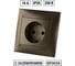 Розетка TDM ELECTRIC 2П+З 16А 250В бронза Лама SQ1815-0723 2