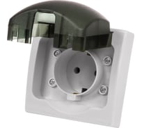 Розетка TDM ELECTRIC 2П+З скрытой установки IP54 16А серая Вуокса SQ1803-0108