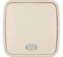 Выключатель слоновая кость 1-клавишный открытой установки с подсветкой TDM ELECTRIC IP20 10А, серия "Дача" Народная SQ1824-0018