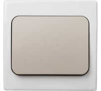 Выключатель одноклавишный скрытой установки серый TDM ELECTRIC IP54 10А серия "Вуокса" SQ1803-0101