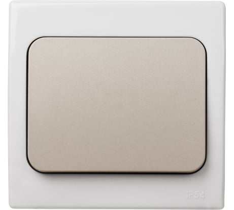 Выключатель одноклавишный скрытой установки серый TDM ELECTRIC IP54 10А серия "Вуокса" SQ1803-0101