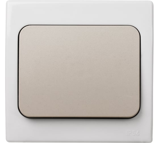 1-клавишный выключатель TDM ELECTRIC скрытой установки IP54 10А серый Вуокса SQ1803-0101