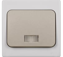 Выключатель одноклавшиный с подсветкой скрытой установки, серый TDM ELECTRIC IP54 10А серия "Вуокса" SQ1803-0105