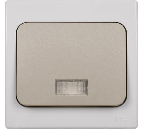 Выключатель одноклавшиный с подсветкой скрытой установки, серый TDM ELECTRIC IP54 10А серия "Вуокса" SQ1803-0105