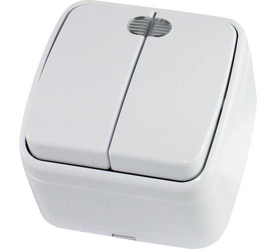 2-клавишный выключатель TDM ELECTRIC открытой установки с подсветкой IP20 10А, белый Дача Народная SQ1824-0004