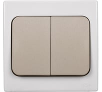 Выключатель двухклавишный скрытой установки, серый TDM ELECTRIC IP54 10А серия "Вуокса" SQ1803-0102