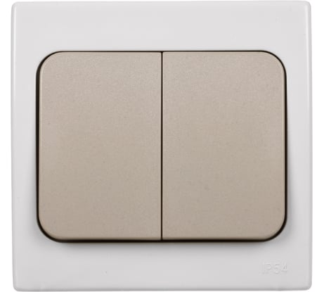 Выключатель двухклавишный скрытой установки, серый TDM ELECTRIC IP54 10А серия "Вуокса" SQ1803-0102