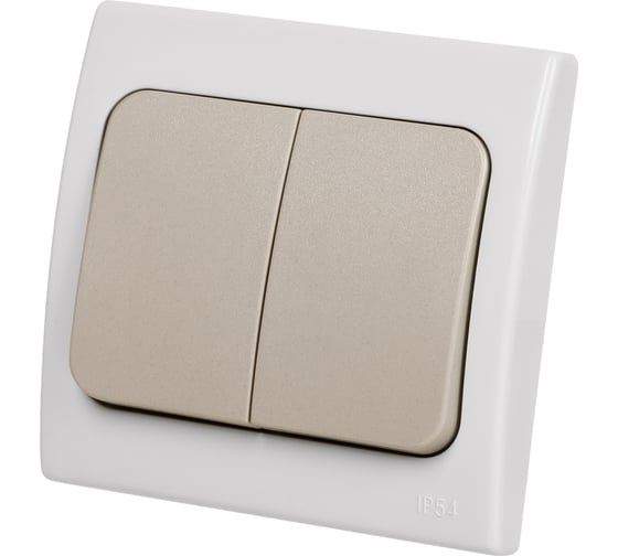 2-клавишный выключатель TDM ELECTRIC скрытой установки IP54 10А серый Вуокса SQ1803-0102