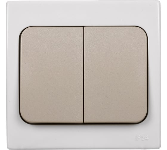 2-клавишный выключатель TDM ELECTRIC скрытой установки IP54 10А серый Вуокса SQ1803-0102