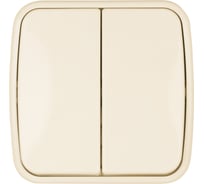 Выключатель слоновая кость 2-клавишный открытой установки TDM ELECTRIC IP20 10А, серия "Дача" Народная SQ1824-0015