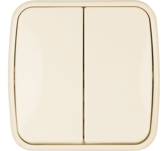 Выключатель слоновая кость 2-клавишный открытой установки TDM ELECTRIC IP20 10А, серия "Дача" Народная SQ1824-0015