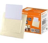 Карточный выключатель TDM ELECTRIC с задержкой отключения слоновая кость Таймыр SQ1814-0704