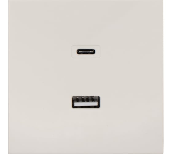 Розетка Lezard ESTET TC+ USB разъем слоновая кость 745-9088-192TC