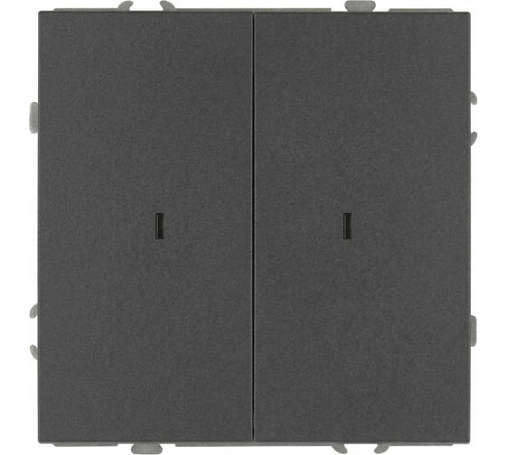 Выключатель ЭРА Galaxy 15-1105-06 двойной с подсветкой 10АХ-250В IP20 графит Б0070682