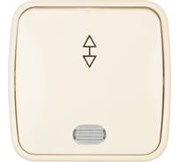 Переключатель слоновая кость на 2 направления 1-клавишный открытой устан с подсветкой TDM ELECTRIC IP20 10А, серия "Дача" Народная SQ1824-0019