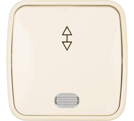 Переключатель слоновая кость на 2 направления 1-клавишный открытой устан с подсветкой TDM ELECTRIC IP20 10А, серия "Дача" Народная SQ1824-0019