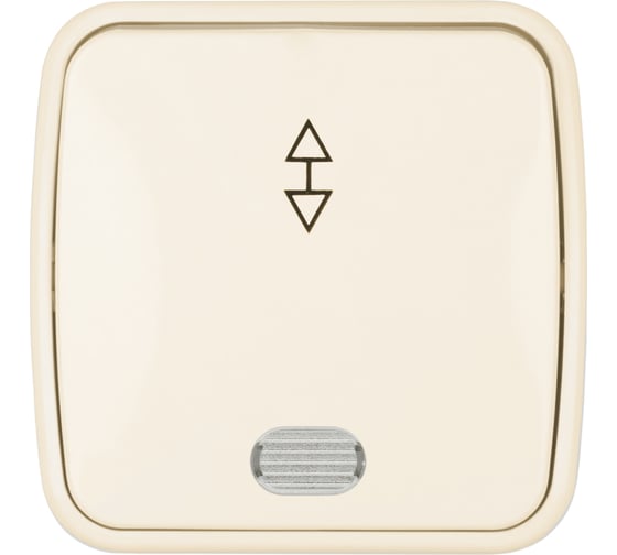 Переключатель слоновая кость на 2 направления 1-клавишный открытой устан с подсветкой TDM ELECTRIC IP20 10А, серия "Дача" Народная SQ1824-0019