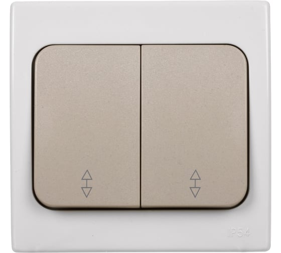 Переключатель двухклавишный на 2 направления скрытой установки, серый TDM ELECTRIC IP54 10А серия "Вуокса" SQ1803-0104 1