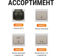 Переключатель одноклавшиный на 2 направления скрытой установки, серый TDM ELECTRIC IP54 10А серия "Вуокса" SQ1803-0103