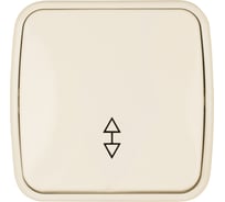 Переключатель словновая кость на 2 направления 1-клавишный открытой установки TDM ELECTRIC IP20 10А, серия "Дача" Народная SQ1824-0016