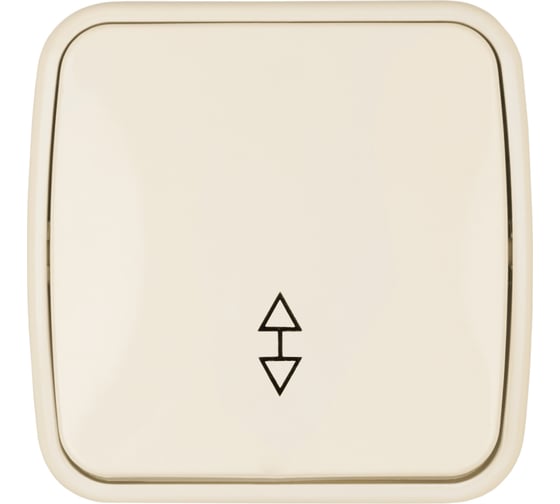 Переключатель словновая кость на 2 направления 1-клавишный открытой установки TDM ELECTRIC IP20 10А, серия "Дача" Народная SQ1824-0016