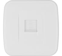 Розетка TФ белая (RJ-11) открытой установки IP20, серия "Дача" Народная TDM ELECTRIC SQ1824-0012